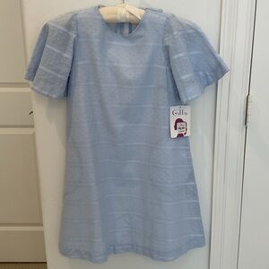 Gabby Light Blue Puff Sleeve Dress